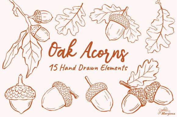 Download Hand Drawn Fall Oak Acorns Autumn SVG - Oak Collection