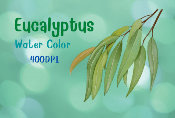 Download Eucalyptus Watercolor by Hand Draw - Premium Bundle