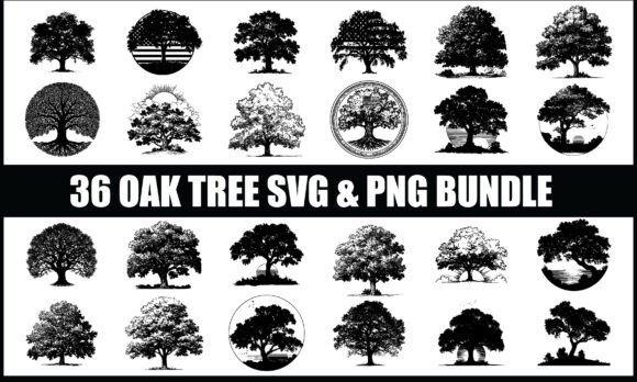 Download Oak Tree SVG PNG Bundle, Tree Clipart - Oak Collection