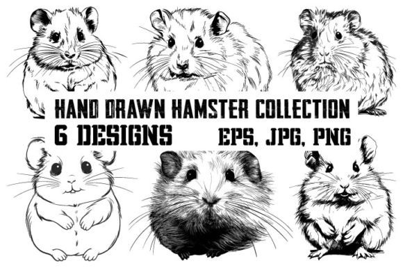 Download Collection of Hamster by Hand Drawn - Premium Resources