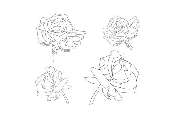 Download Rose Vector Set by Hand Drawing - Premium Bundle