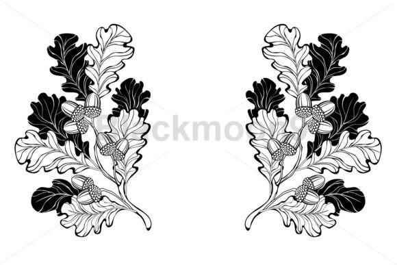 Download Contour Oak Branches - Oak Collection